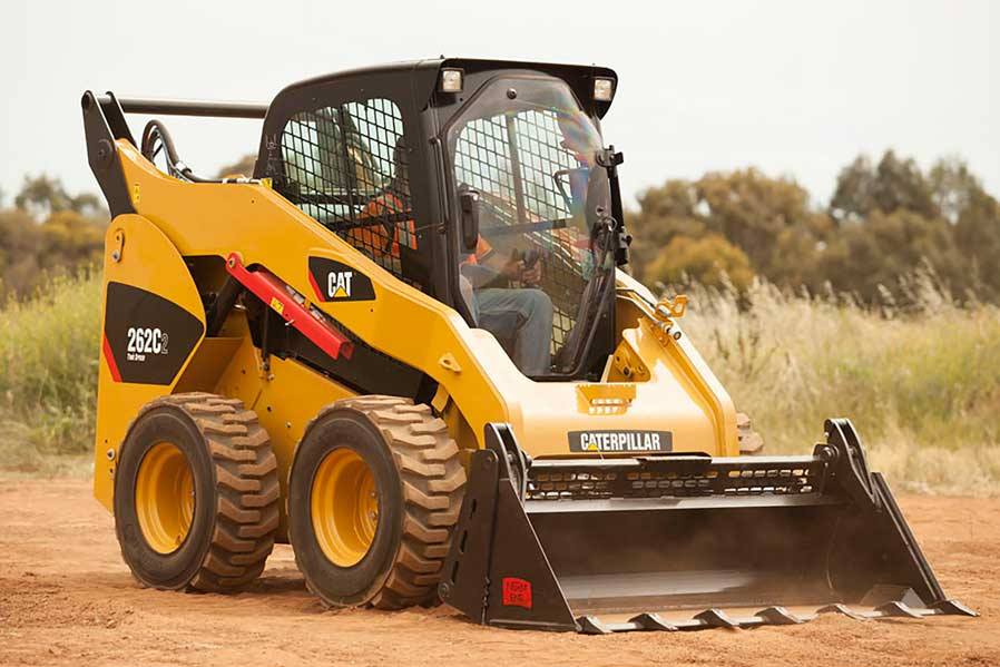 Bobcat