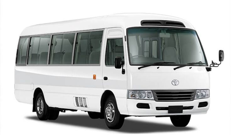 Buses